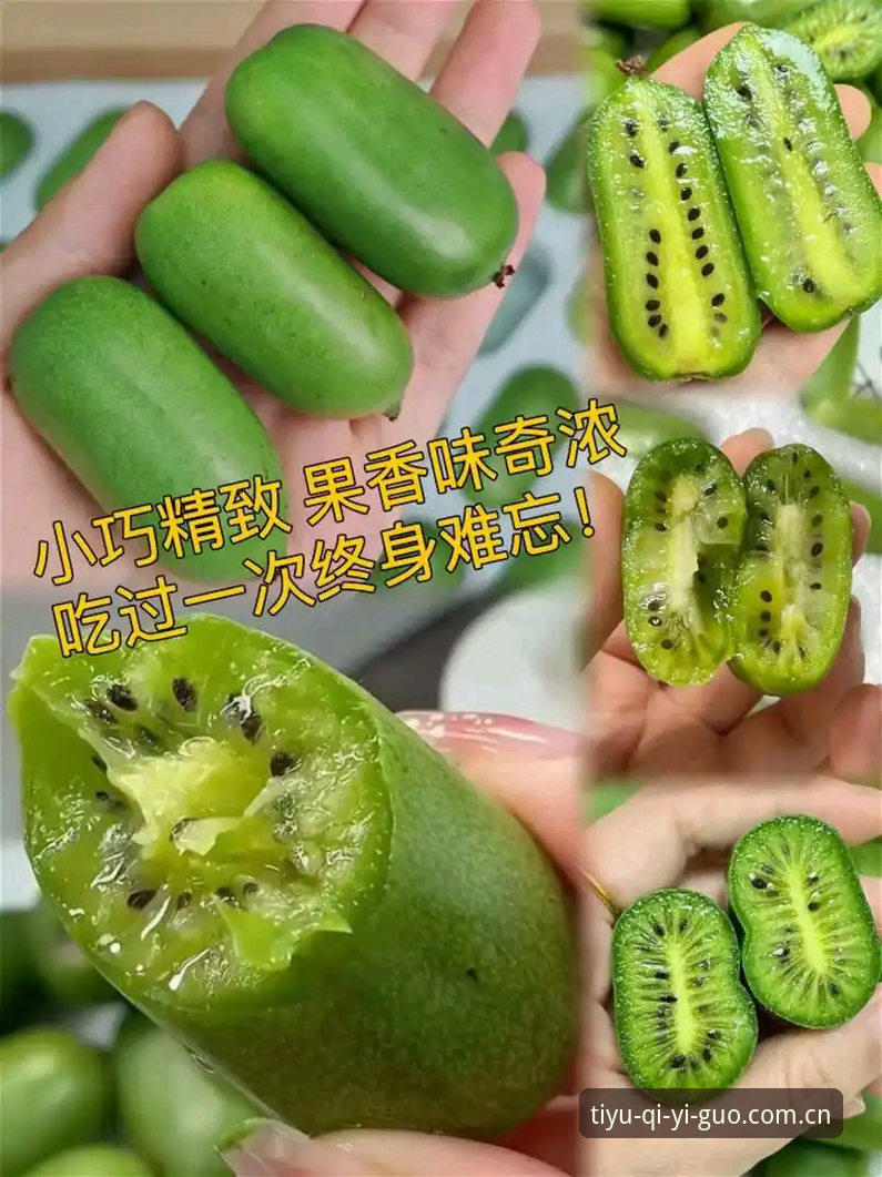 奇异果体育无卡顿深度评测：老用户亲测，流畅体验背后的秘密全解析